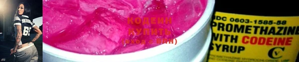 дживик Кинешма