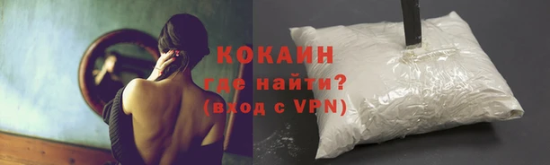 дживик Кинешма
