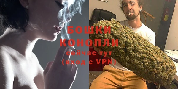 дживик Кинешма